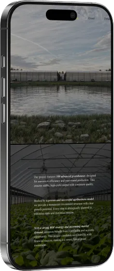 Phone with information